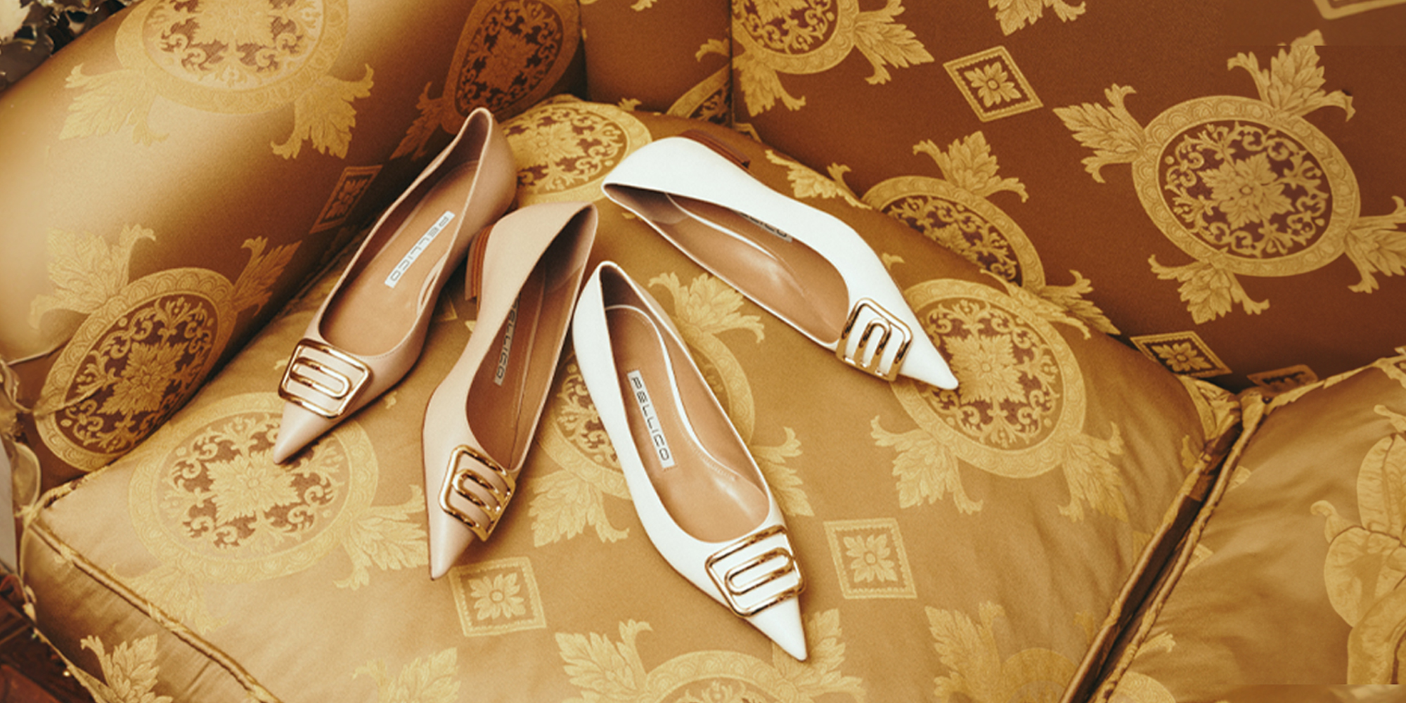 New Color “Due ANELLI” | PELLICO｜ペリーコ