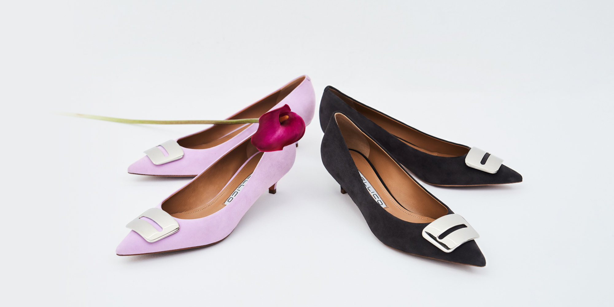 Seasonal colors “ANELLI FIBBIA” | PELLICO｜ペリーコ