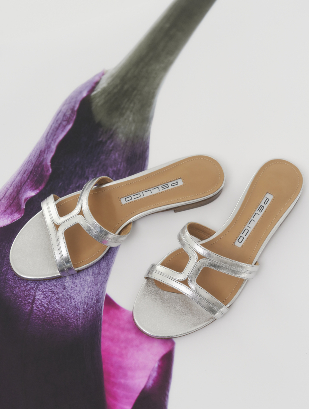 CANALE” | PELLICO｜ペリーコ