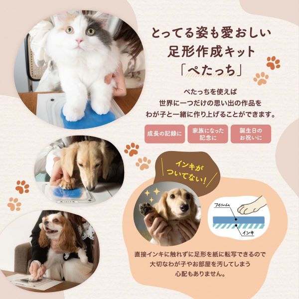 ぺたっち 犬猫用 フォトフレームセット 各色 (そらいろ)(そらいろ