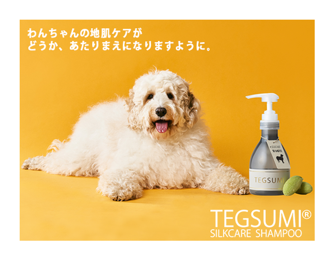 TEGSUMI SILKCARE SHAMPOO 300ml: 600｜業務用トリミング用品通販