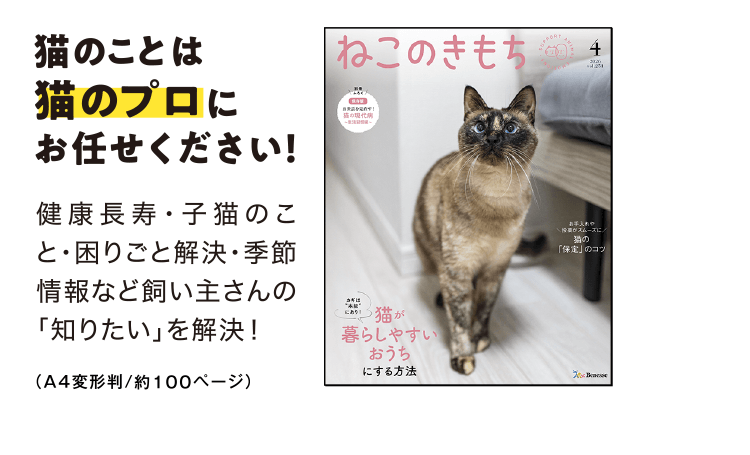 特典・ふろくのご紹介| 愛猫の健康・育て方がわかる雑誌「ねこのきもち