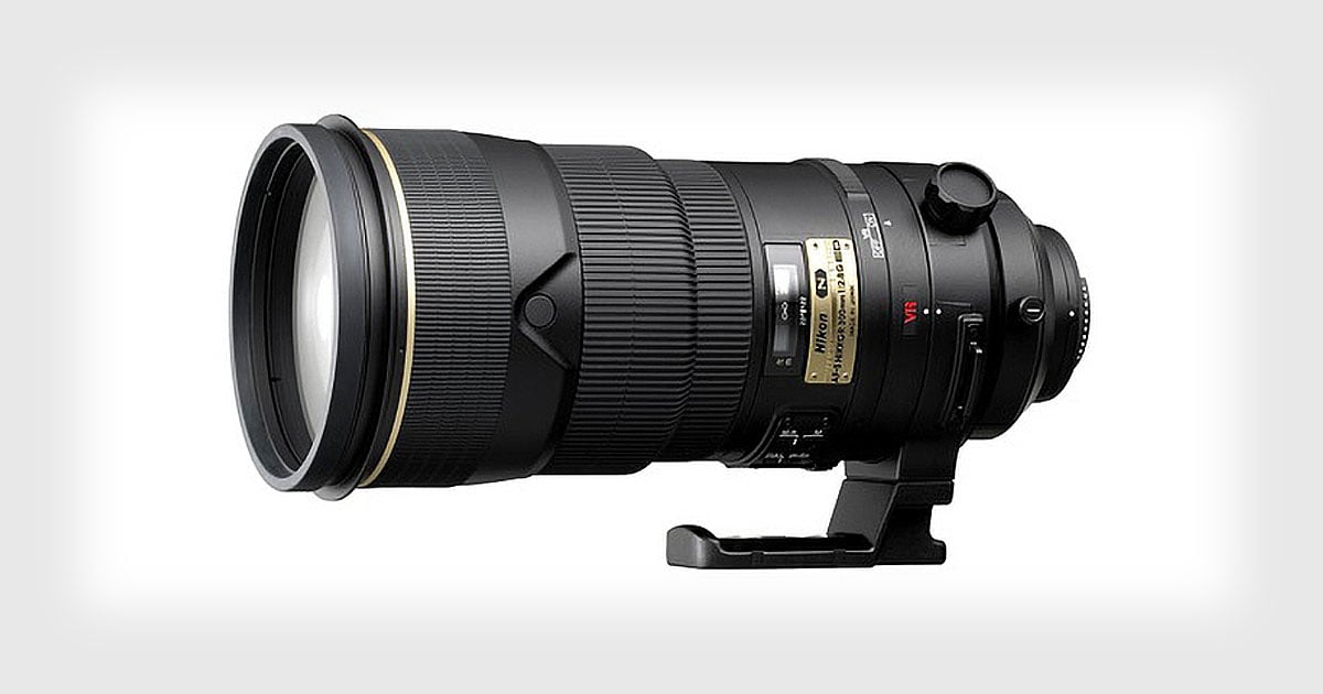 Long-Term Review: The Nikon 300mm f/2.8 VR is an Ultimate Bokeh