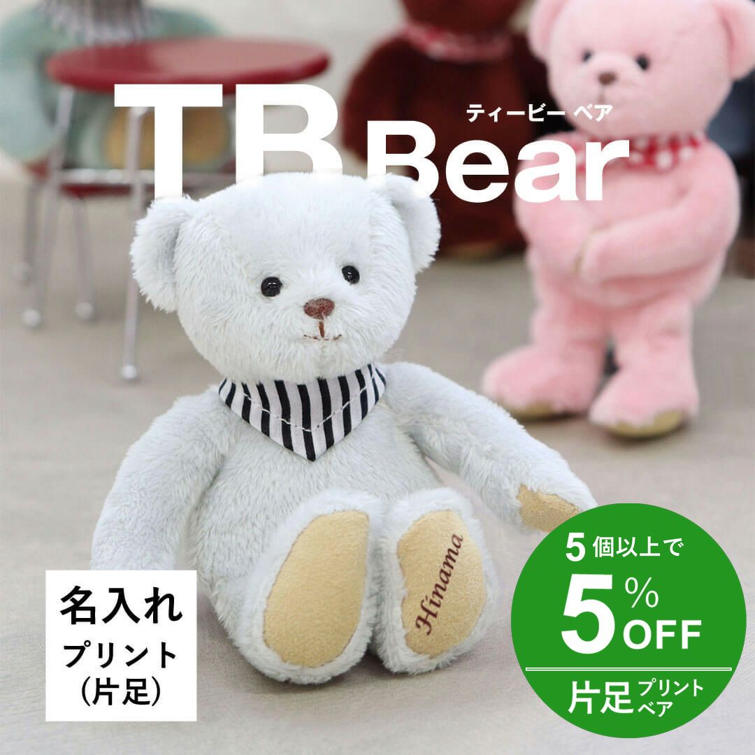 名入れできるカラフルテディベア｜お揃いも楽しめる推し活ぬいぐるみ