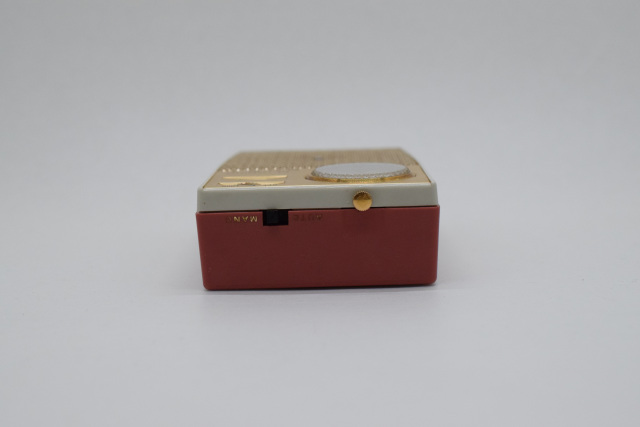 TRW-621 Pepper's Square 遠いページ