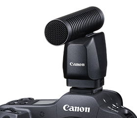 no-battery.jpg?h=222&iar=0&w=