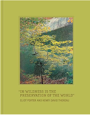 自然の詩人：エリオット・ポーターの世界 | 有名写真家の写真集ガイド