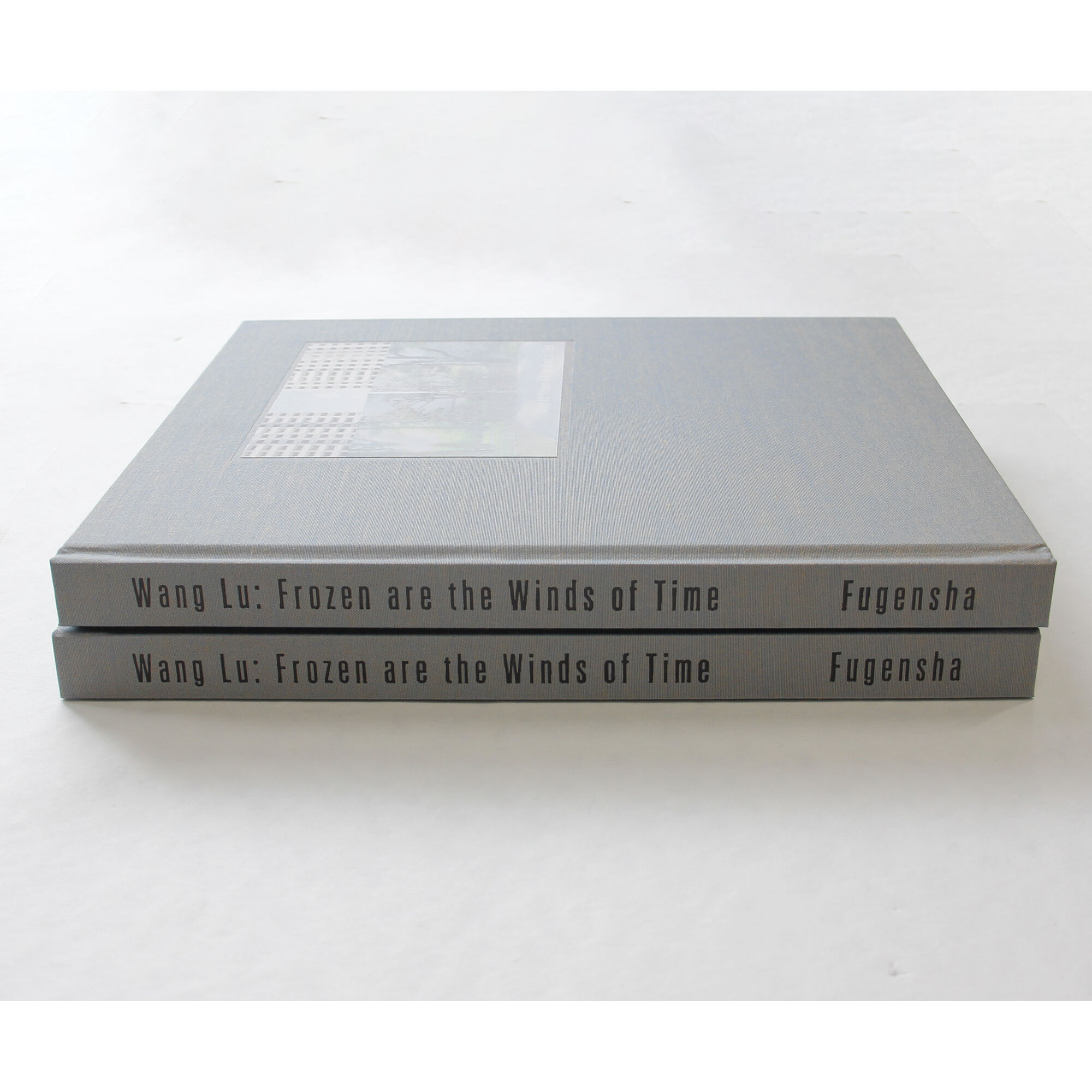 【サイン入り】王露、Frozen are the Winds of Time Frozen are the Winds of Time (A) - WANG Lu | shashasha