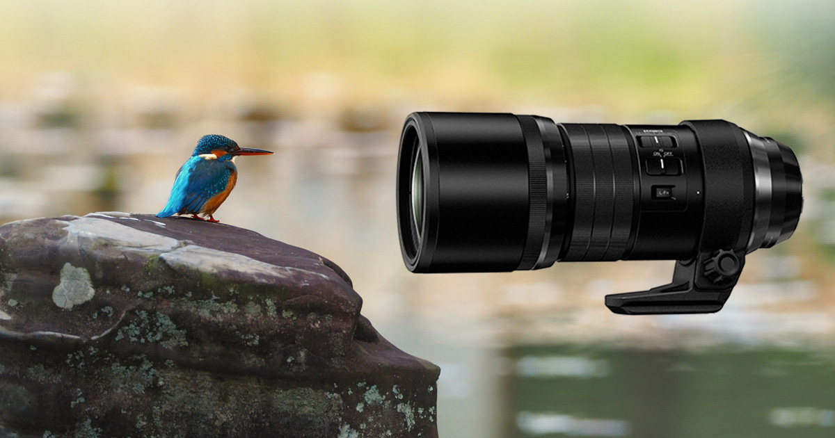 野鳥撮影に革命をもたらす！手持ちで撮れる600mmレンズフィールド