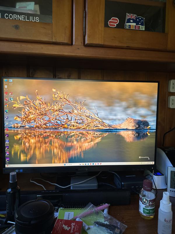 Brilliance MultiView 搭載 4K ウルトラ HD 液晶ディスプレイ 438P1/11