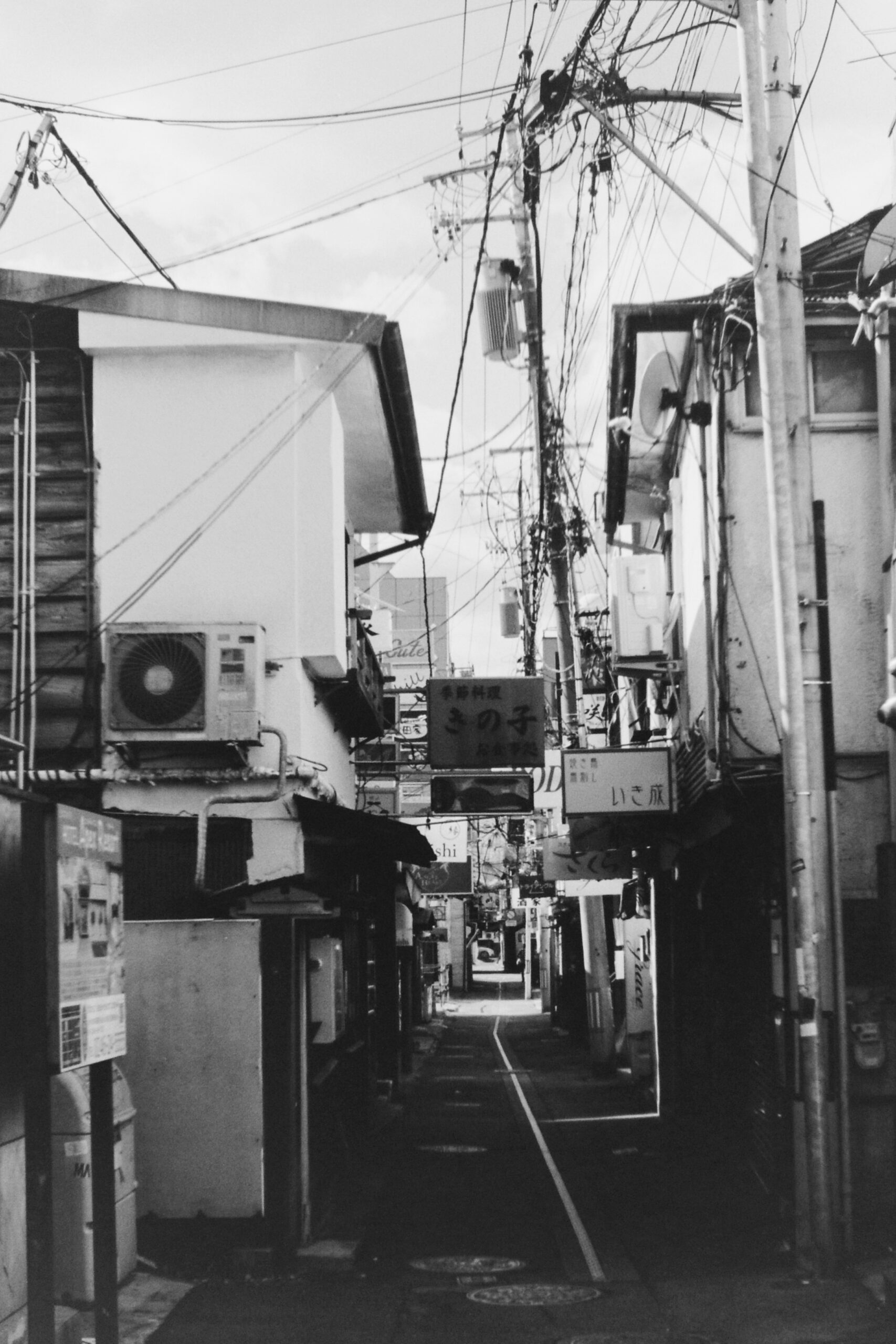 現像データ]FUJIFILM NEOPAN 100 ACROSⅡ/D-76 1：1/「PENTAX LX」作例