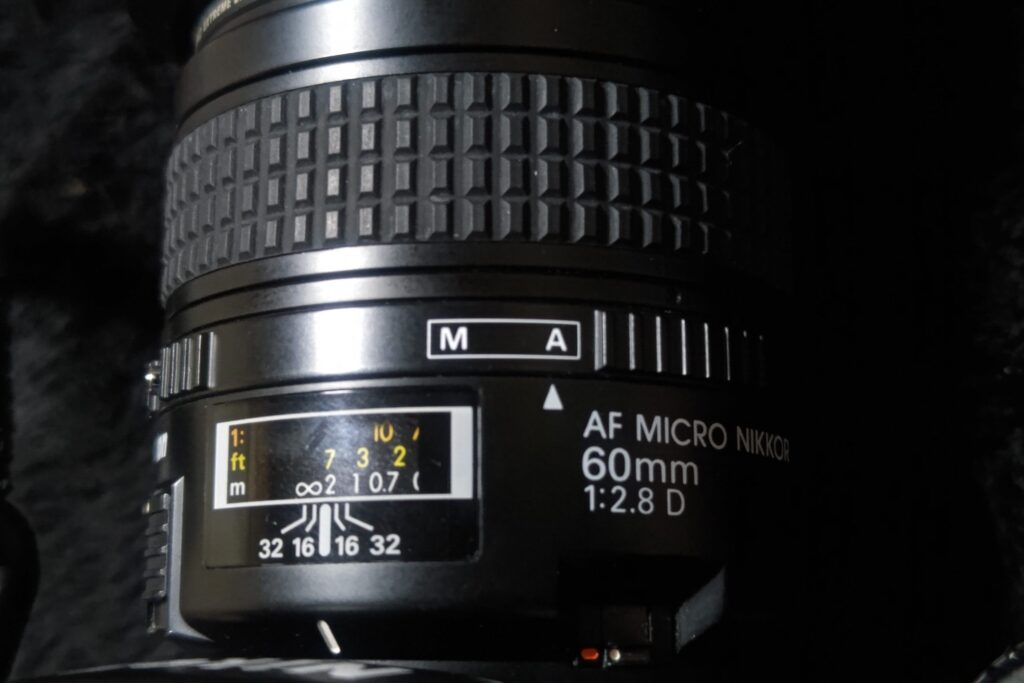 常用レンズにもおすすめ、等倍マクロ【AF MICRO NIKKOR 60㎜ f/2.8D