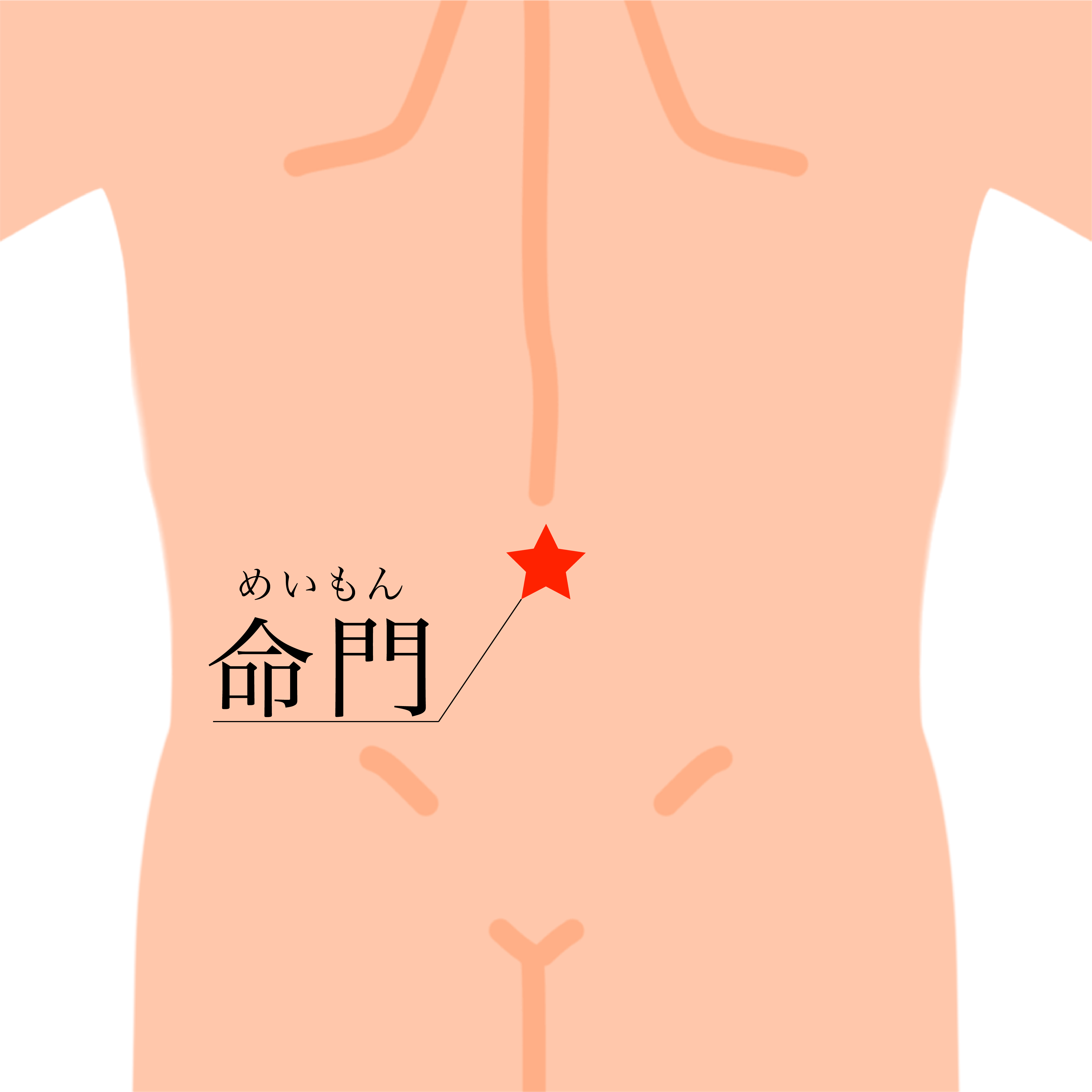 LIFEWAVE carnosine＜ カルノシン ＞ | ライフウェーブパッチ等健康