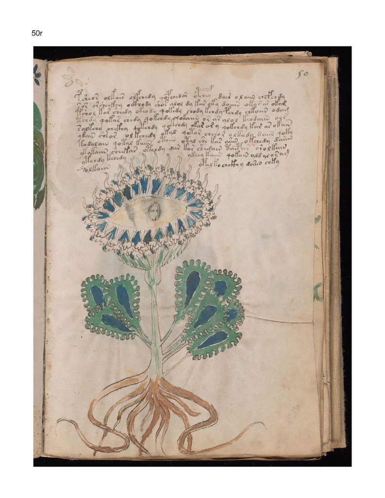 ヴォイニッチ手稿（Voynich Manuscript）