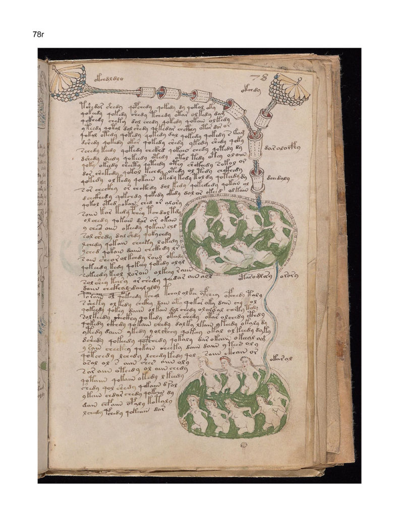 2002046-p142-791x1024.jpg?v=