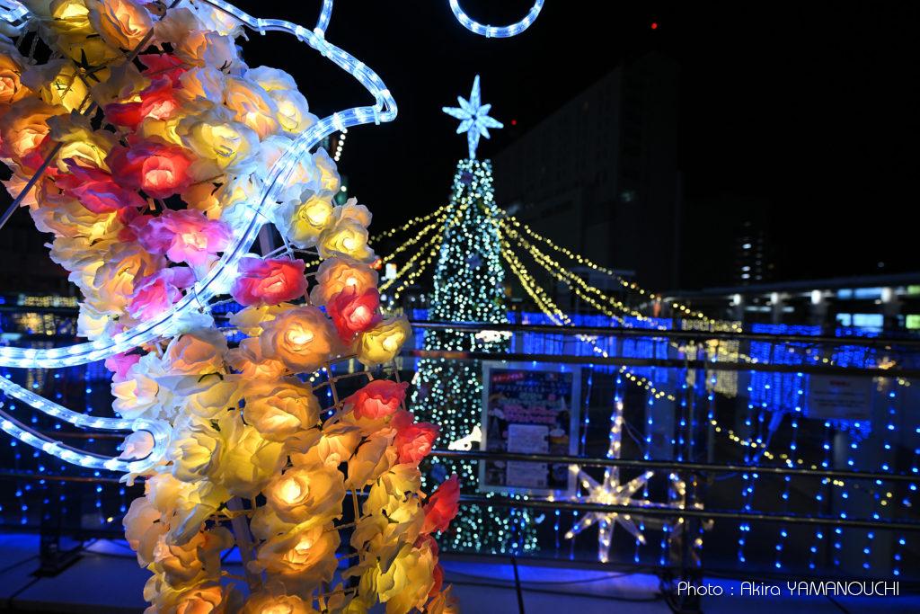 NIKKOR Z 14-24mm f/2.8 S：ボケ