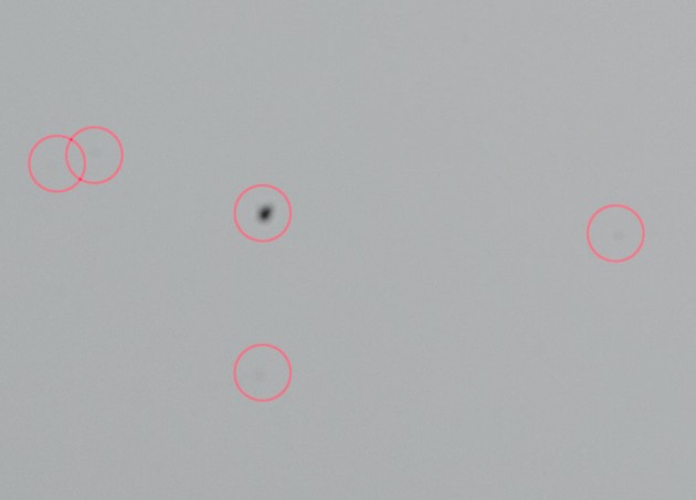 本当は怖い。。カメラのセンサーゴミをカンタンに確認する方法！ - studio9