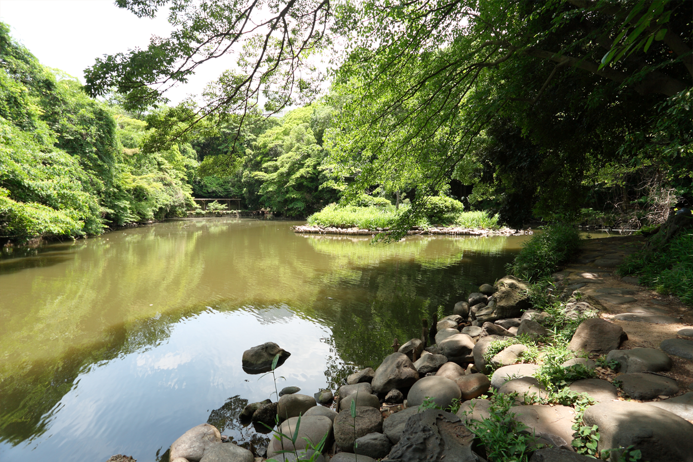 東京大学 総長特別参与 大学院工学系研究科 社会基盤学専攻 教授 工学