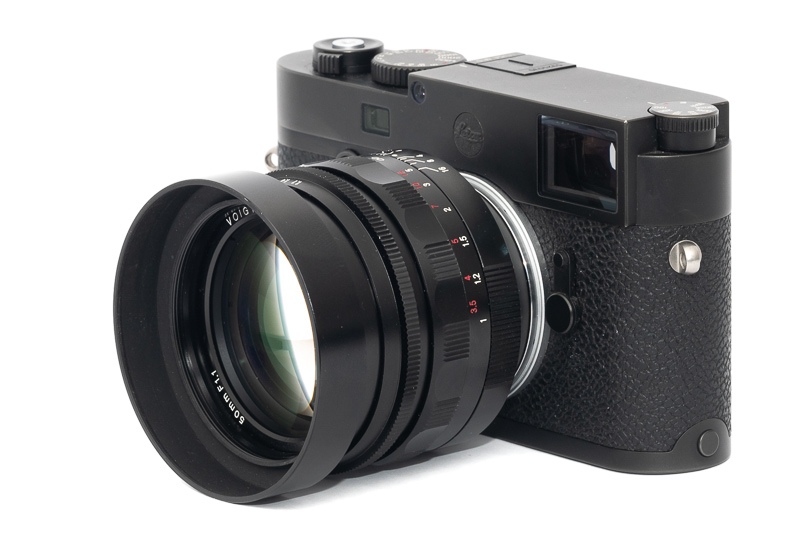 Review: Voigtländer 50mm 1.1 Nokton - Better than its reputation