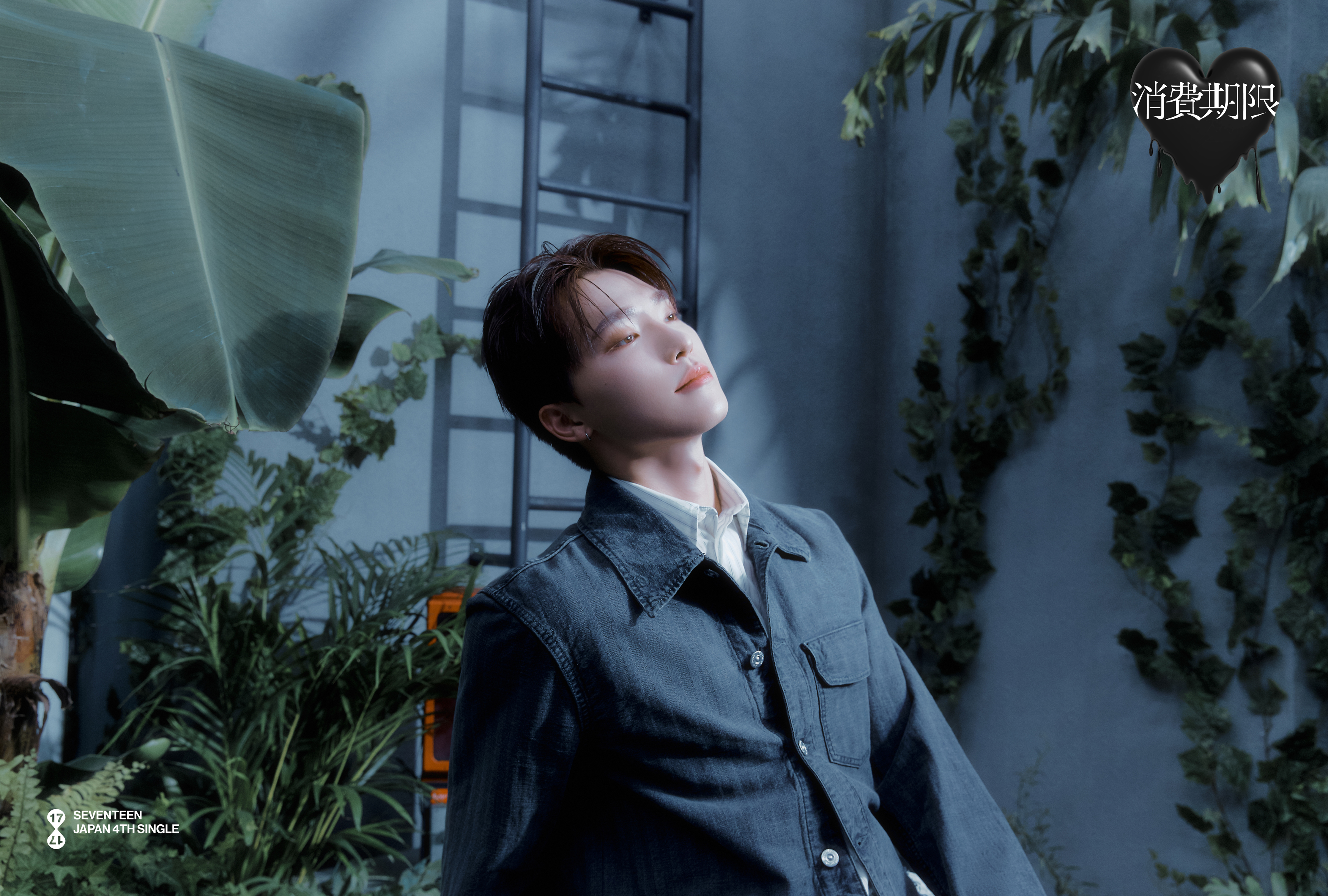 Weverse SEVENTEEN 画像 - SEVENTEEN JAPAN 4TH SINGLE 「消費期限