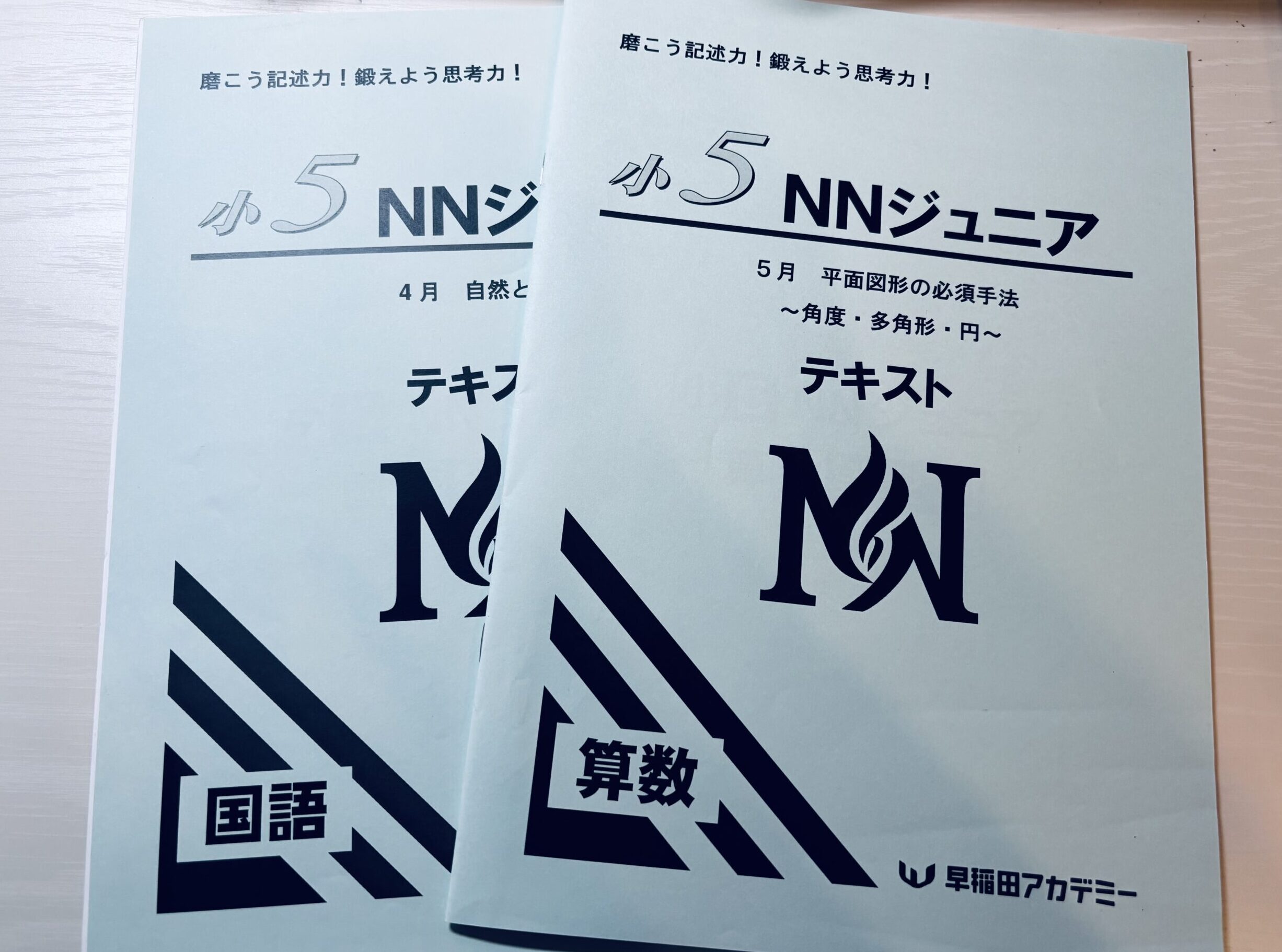 NN開成/筑駒 日曜講座 後期 NN開成/筑駒 日曜講座 後期 最新版2024年