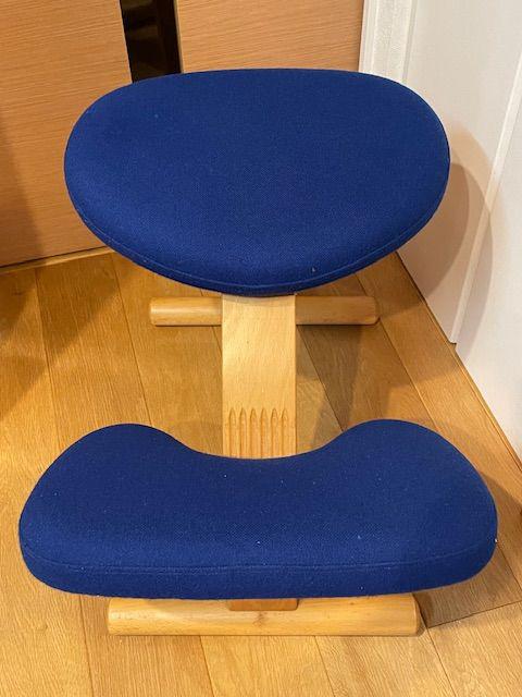 Rybo Balans EASY バランスイージー （ イス・チェア）の買取価格 （ID