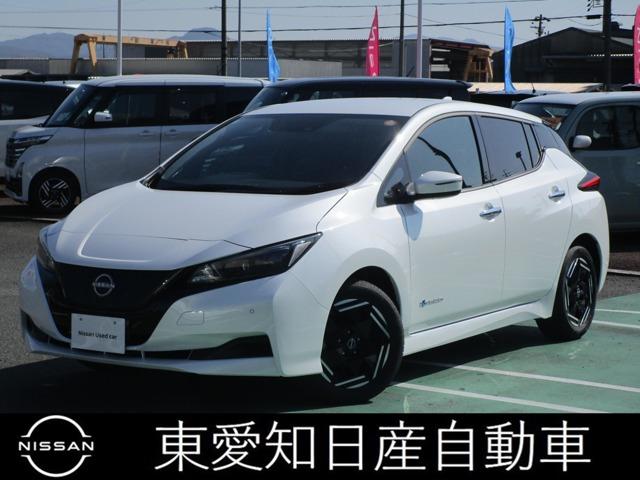 日産 リーフ 2017年モデル Xの価格・性能・装備・オプション（2021年4