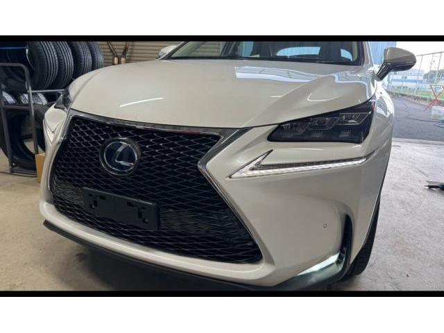 レクサス NX NX300h Fスポーツグリル グリル交換 純正グリル