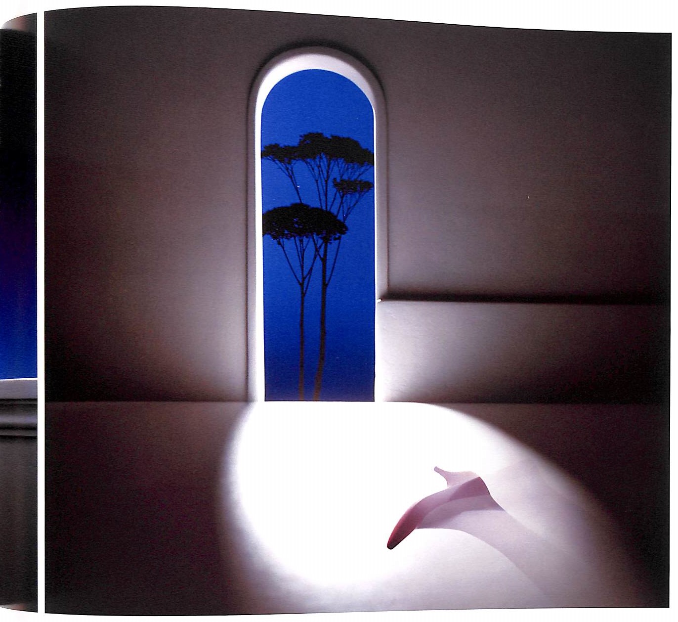 Sam Haskins Fashion Etcetera. Tommy Hilfiger Special Edition by