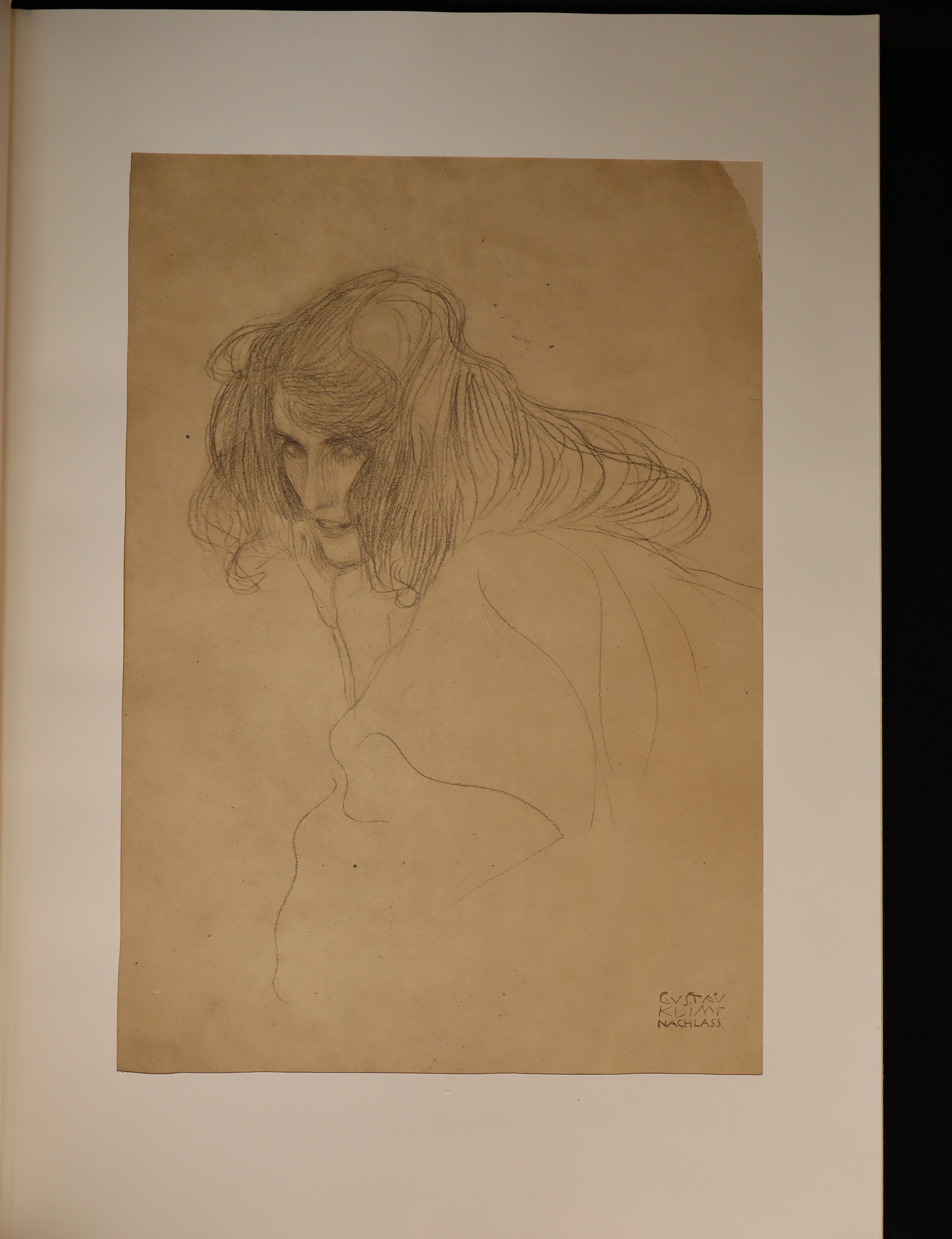 Gustav Klimt: Twenty-Five Drawings Selected and Interpreted by