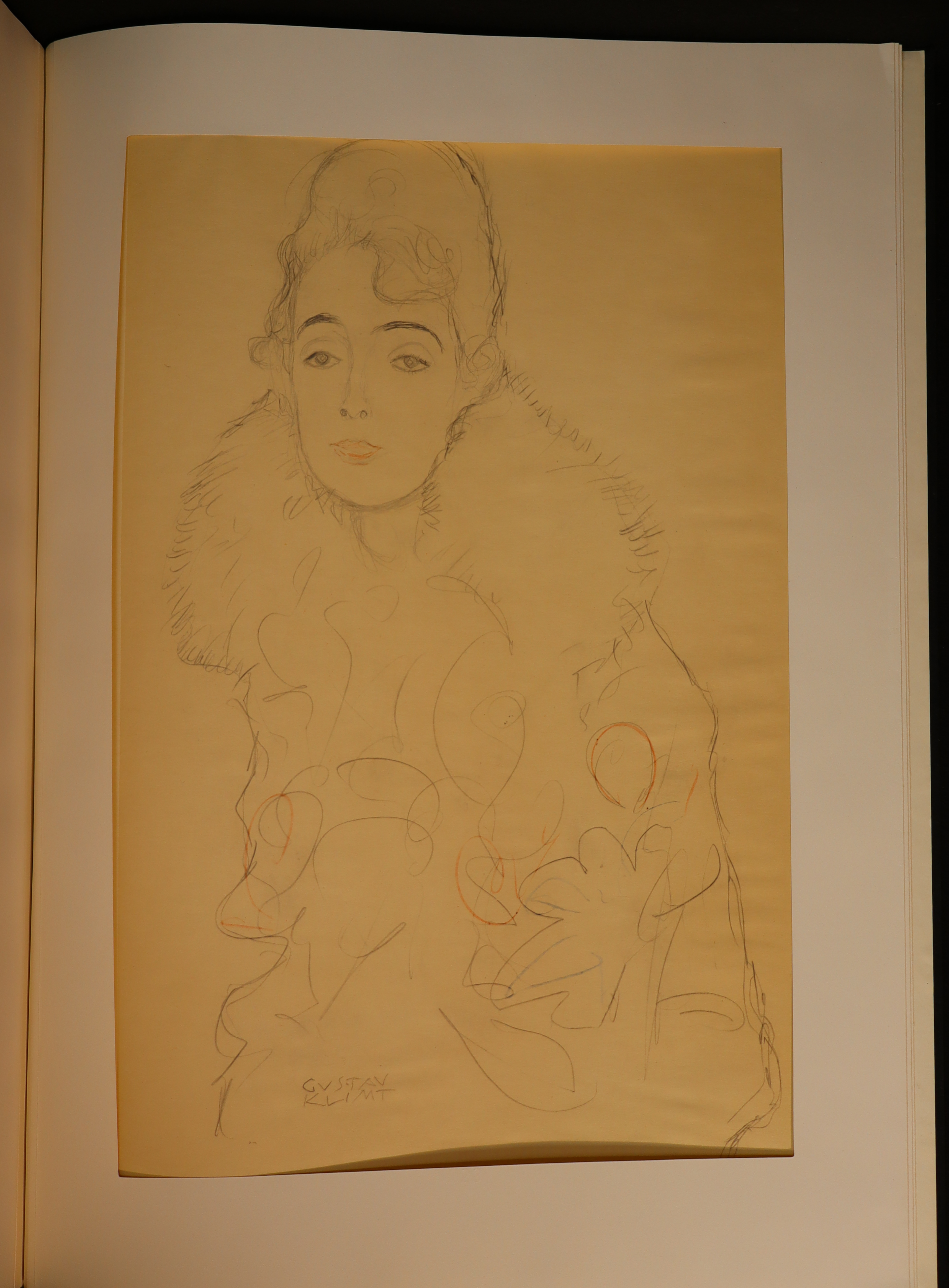 Gustav Klimt: Twenty-Five Drawings Selected and Interpreted by