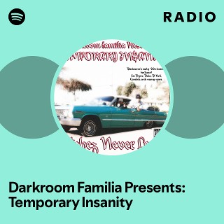 激レア皿Darkroom Familia TEMPORARY INSANITY 激レア皿Darkroom