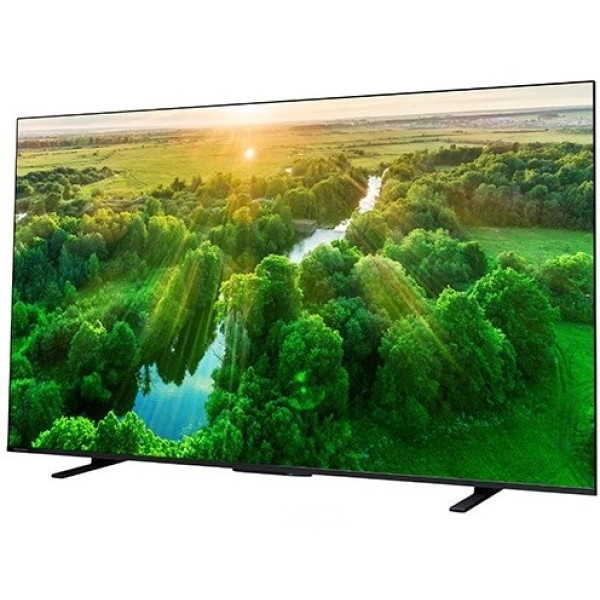 東芝 65Z570L REGZA Z570L [65V型 地上・BS・CSデジタル4Kチューナー