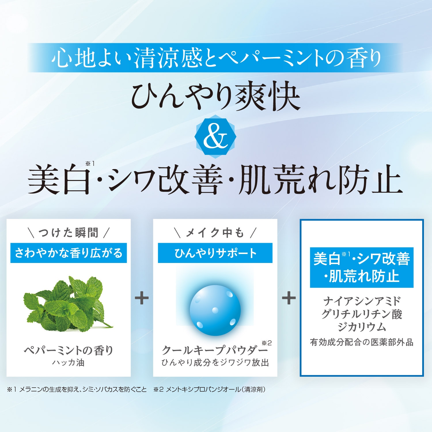 薬用リンクルホワイト ファンデーション クール(エクスボーテ)｜通販の