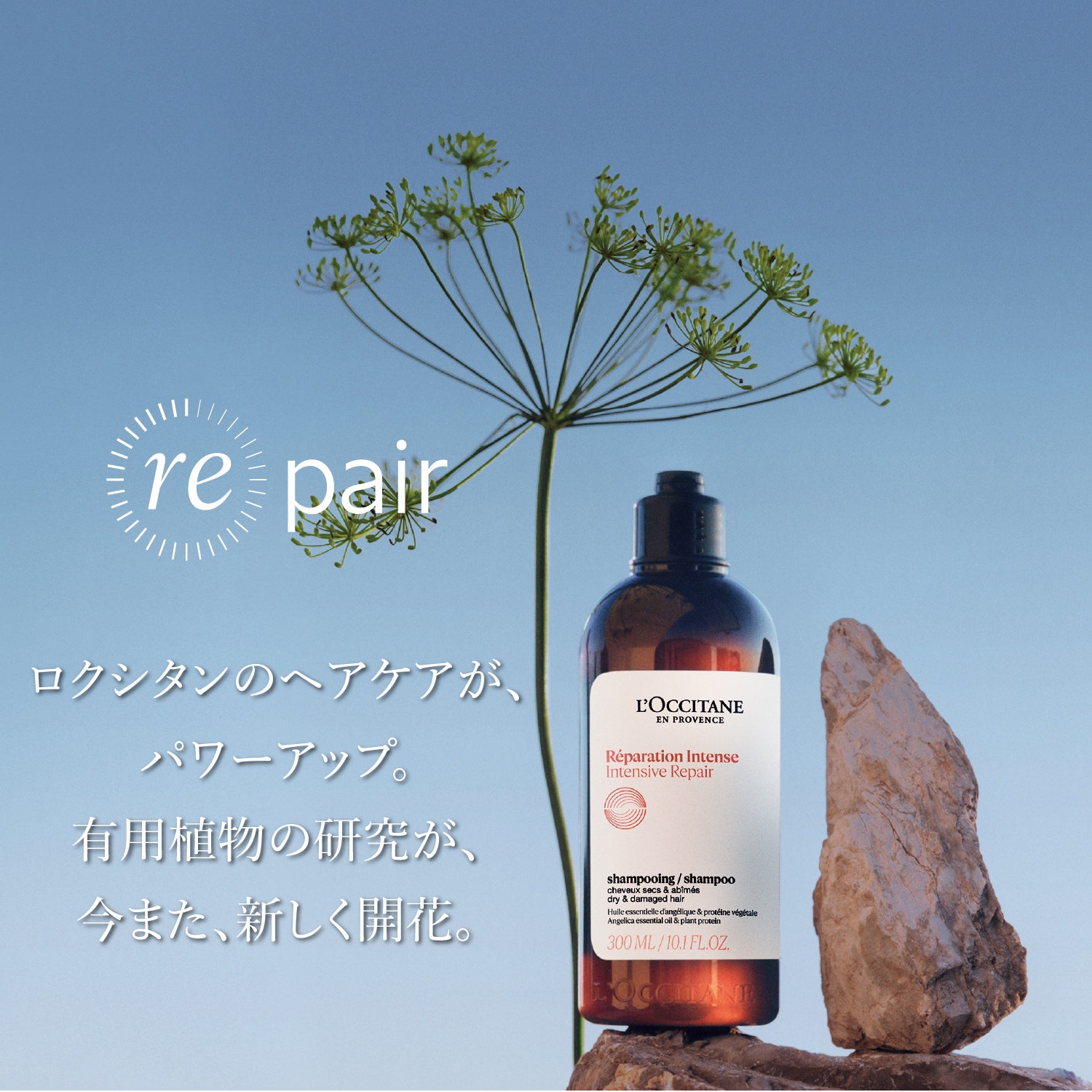 インテンシヴリペア シャンプー【さらツヤ】(ロクシタン/L'OCCITANE