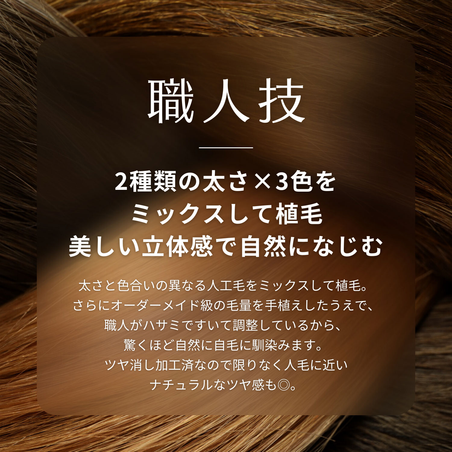 HAIRMATE chacha（チャチャ） (部分用ウィッグ)(ペスカ)｜通販の