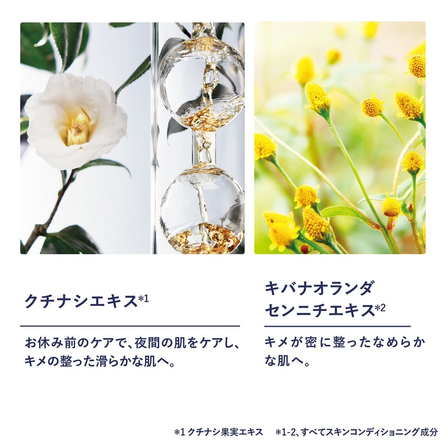 ボックス入り】イモーテル エキスパートデュオ(ロクシタン/L'OCCITANE