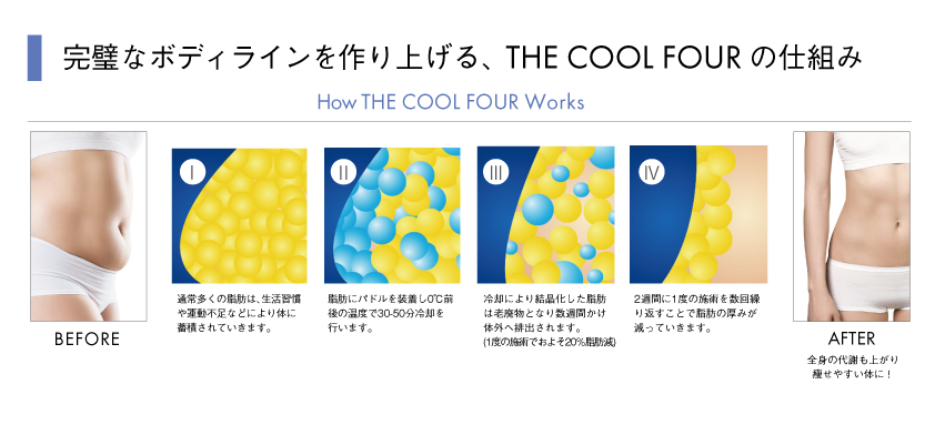 THE COOL FOUR-脂肪冷却痩身- | 沖縄県うるま市/private salon Pika