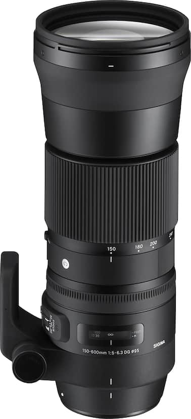 Sigma 150 600mm f/5 6.3 Sports DG OS HSM Contemporary Telephoto