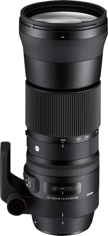 Sigma 150 600mm f/5 6.3 Sports DG OS HSM Contemporary Telephoto