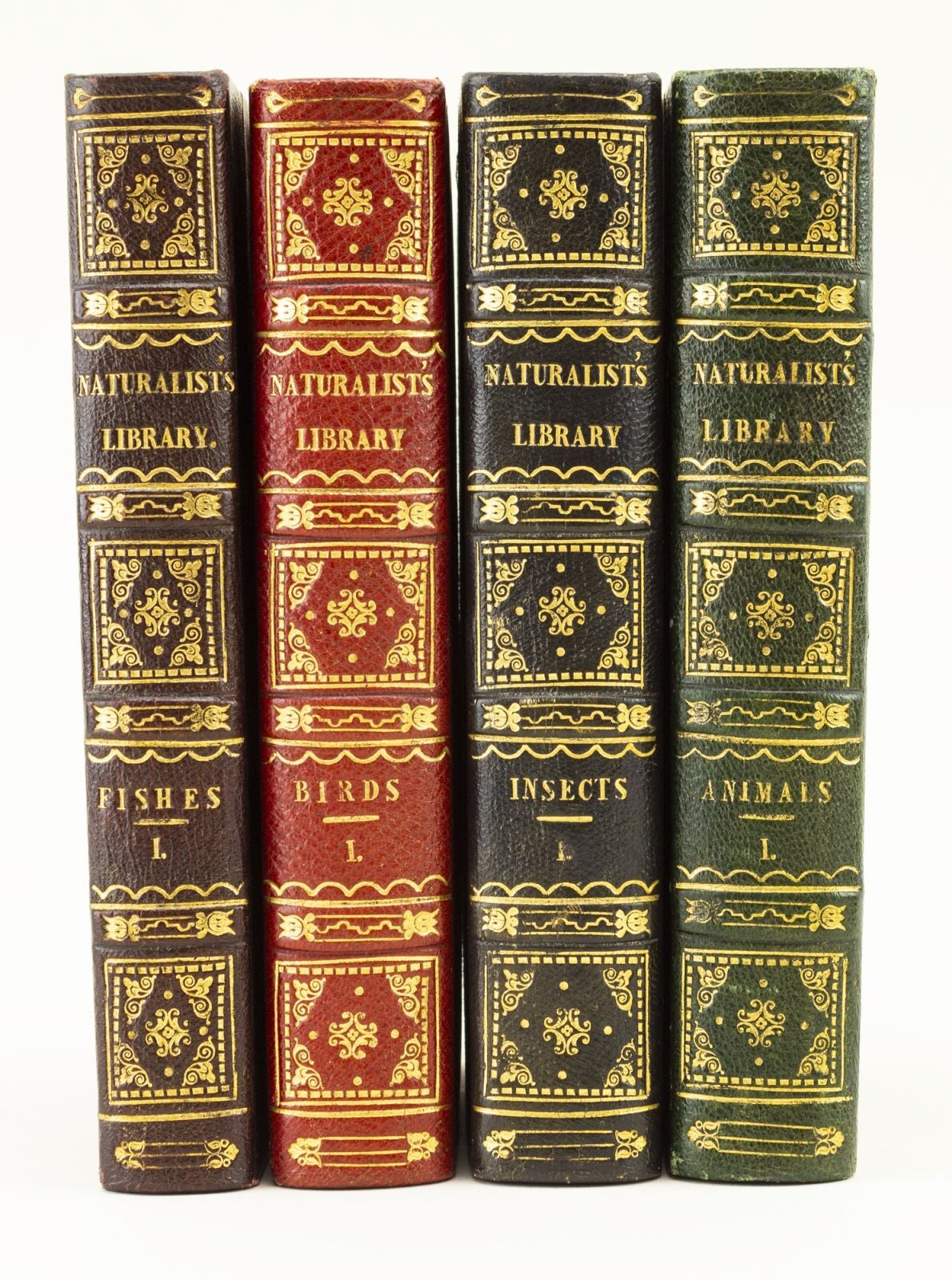 Pirages | Jardine. Naturalist's Library. 1845-46