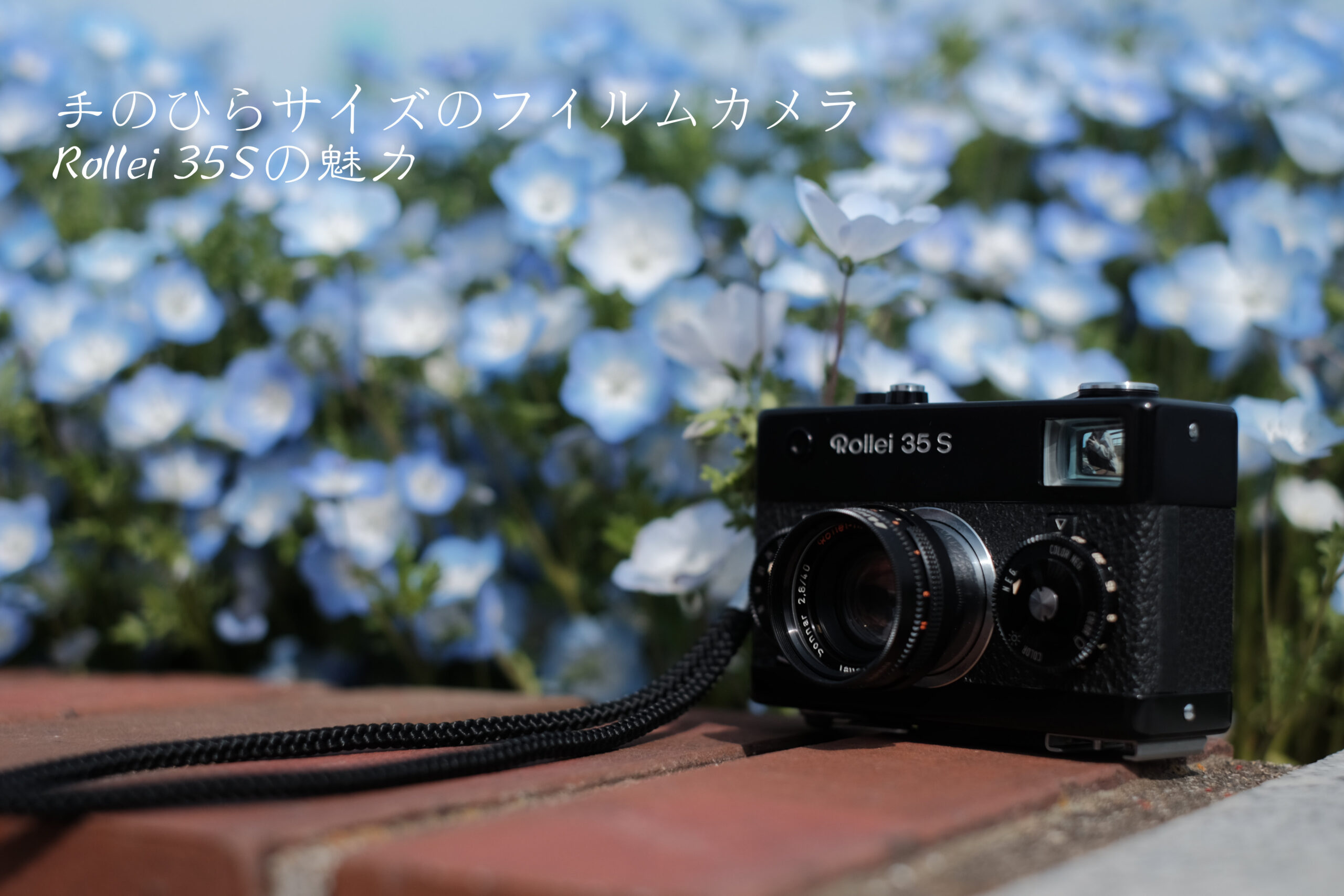 手のひらサイズのフィルムカメラRollei 35Sの魅力 | pixmemoir