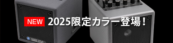 NANOBASS X4 | PHIL JONES BASS