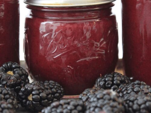 seedless-wildblackberry-1-