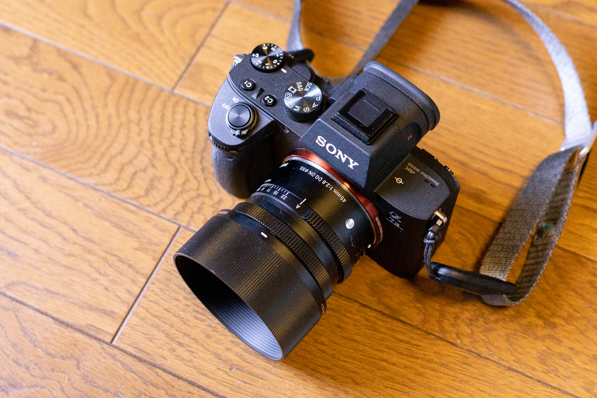 シグマ45mm F2.8 DG DNレビュー。これ一本で楽しいレンズ。 | ぽちろぐ