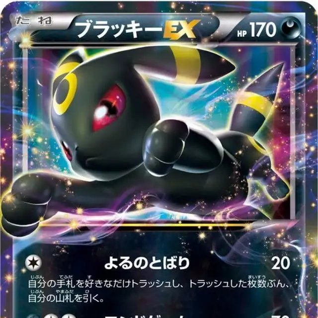 ブラッキー ホロPSA10 マグマVSアクア 1stエディション 1ed ブラッキー