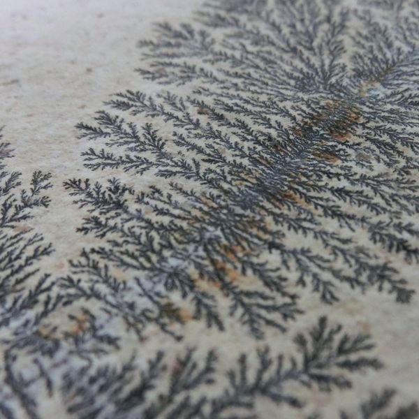 しのぶ石（dendrite）樹枝状晶⇒樹状突起（神経細胞）: 正多面体クラブ