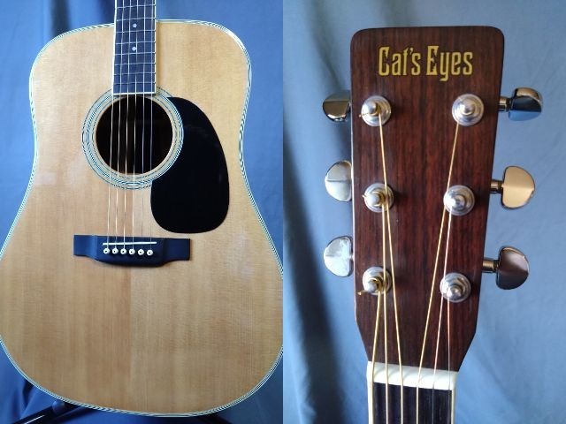 CE-600CF Tokai Cat's Eyes - PoloPPo Guitar Visual Dictionary