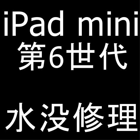 iPad mini 第6世代の水没修理】7480円の洗浄作業のみでデータそのまま