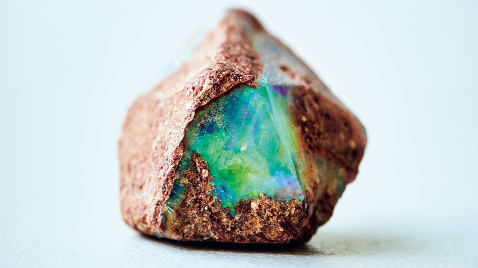 ウッドオパール／机の上のサイエンス。Vol.39 | POPEYE Web | ポパイウェブ